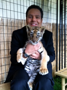 Baby tiger comes to Waterfont Park