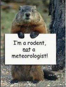 I'm a Meteorologist, not a rodent!